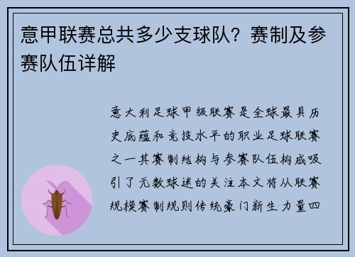 意甲联赛总共多少支球队？赛制及参赛队伍详解